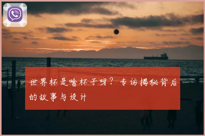 世界杯是啥杯子呀？专访揭秘背后的故事与设计