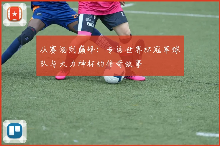 从赛场到巅峰：专访世界杯冠军球队与大力神杯的传奇故事