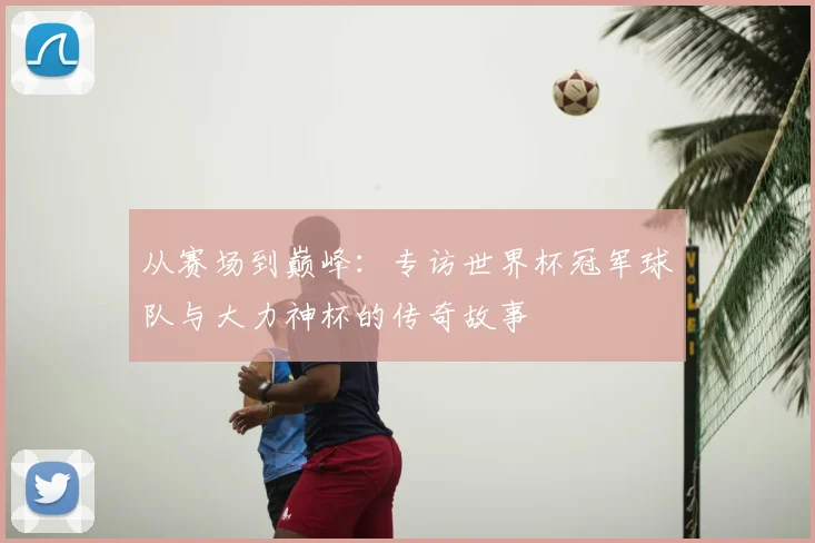 从赛场到巅峰：专访世界杯冠军球队与大力神杯的传奇故事