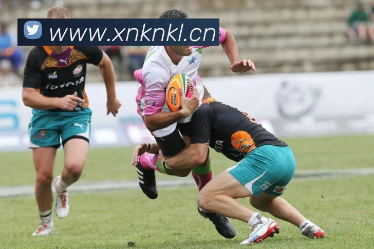 开云kaiyun入口平台生态图